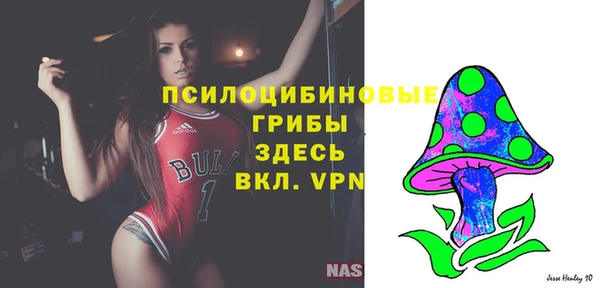 МДПВ Алексеевка
