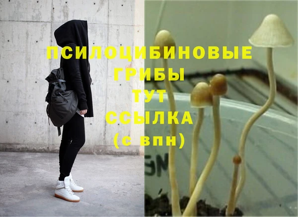 МДПВ Алексеевка