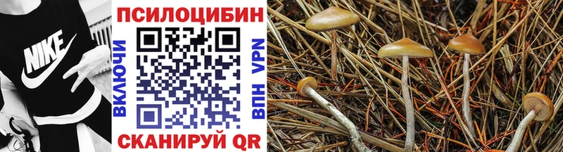 blacksprut ссылка  Муравленко  Псилоцибиновые грибы ЛСД 