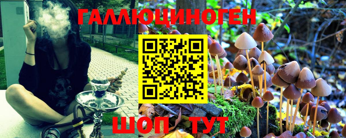 купить наркотик  Вход с VPN  Муравленко  Псилоцибиновые грибы GOLDEN TEACHER 